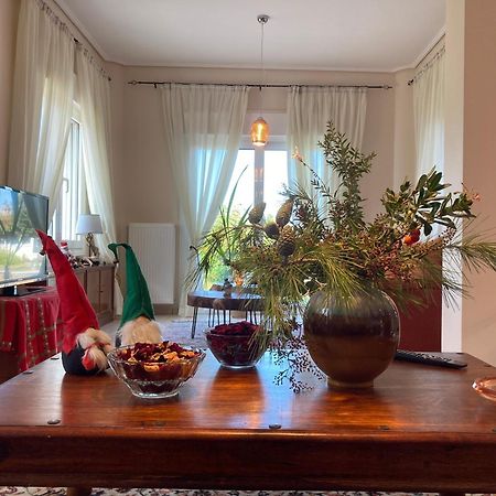 Brina'S Luxury Apartments Agioi Apostoloi  المظهر الخارجي الصورة